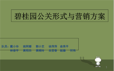 碧桂園營(yíng)銷詳盡方案與公關(guān)活動(dòng)策劃
