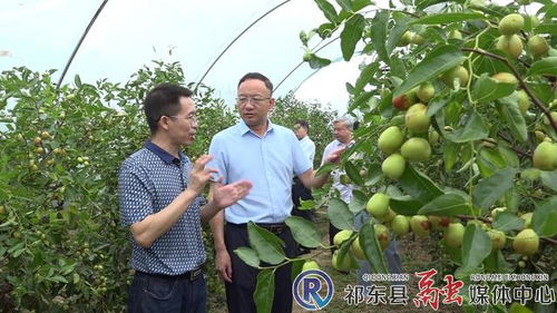 市林業(yè)局深入我縣開展林業(yè)工作調研 聚焦產(chǎn)業(yè)發(fā)展，助力林產(chǎn)品銷售升級