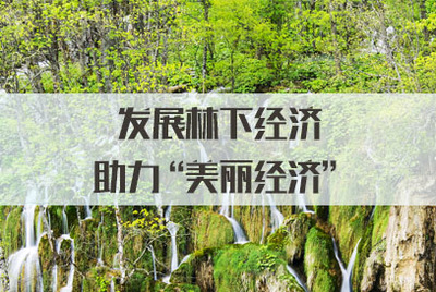 發(fā)展林下經(jīng)濟，拓展銷售渠道，讓‘美麗經(jīng)濟’更富生機