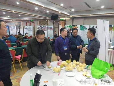 陽信鴨梨榮獲“全國綠色農(nóng)業(yè)十佳地標(biāo)品牌”稱號(hào)，綠色農(nóng)業(yè)品牌價(jià)值再提升