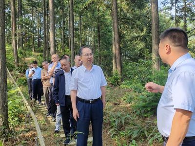 科技賦能，生態(tài)富民 福建省林業(yè)局領(lǐng)導(dǎo)赴福州、寧德調(diào)研林下經(jīng)濟(jì)與電子產(chǎn)品銷售新模式